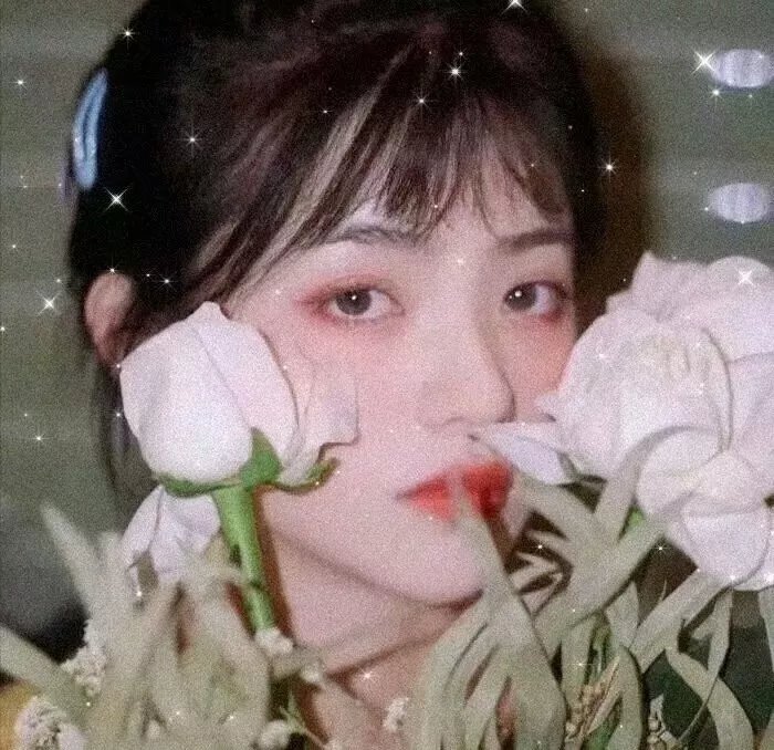 毛子佩闯宫